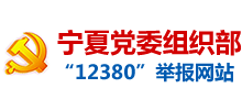 宁夏党委组织部“12380”举报网站首页缩略图