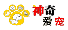神奇爱宠网首页缩略图