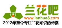 兰花吧首页缩略图
