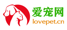 爱宠网首页缩略图