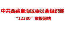 西藏自治区党委组织部“12380”举报网站