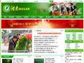 湖南林业信息网