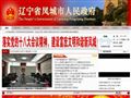 凤城市人民政府首页缩略图