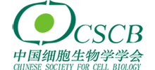 中国细胞生物学学会首页缩略图