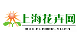 上海花卉网