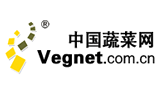 中国蔬菜网首页缩略图