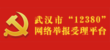 中共武汉市委组织部“12380”举报网站首页缩略图