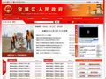 宛城区政府首页缩略图
